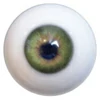 Cor dos ollos jxdoll-eye-green
