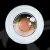 Očne jabučice mozu-yz02 (+35 USD)
