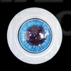 Bulbi oculari mozu-yz09（+$35）