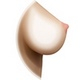 Breasts 168-Hollow-breast
