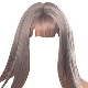 Hairstyle Bezlya20-Wig-Sliver07