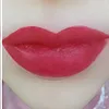Warna Bibir SY-Lip11