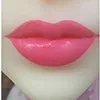 Lūpų spalva SY-Lip2
