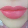 Warna Bibir SY-Lip7