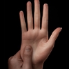 Hand Tegund zelex-Hard-Hand