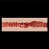 اندام نہانی قطر zelex-Vaginal-Diameter-3cm