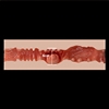 اندام نہانی قطر zelex-Vaginal-Diameter-4cm