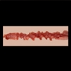 اندام نہانی کی ساخت zelex-Vaginal-Texture1