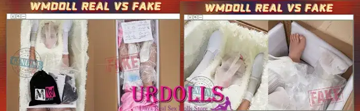 ทางการ-wm-dolls-information-5