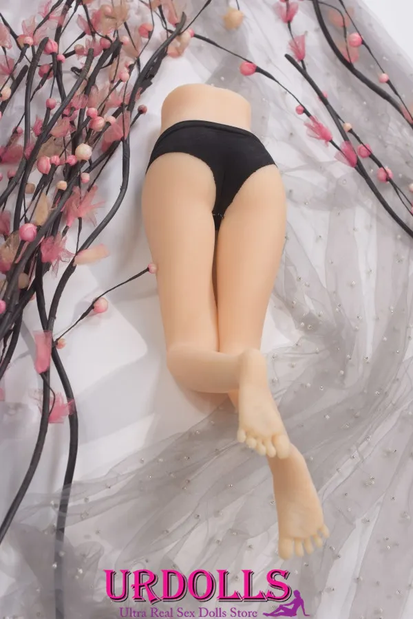 sex doll ata lovked storage case